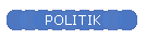 POLITIK